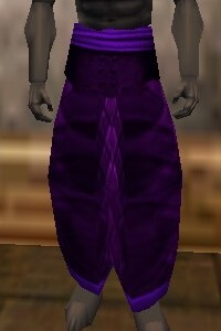 File:Amuli Leggings (The Crafter) Relanim Live.jpg