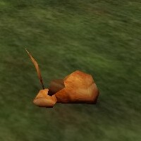 File:Rabbit Carcass Live.jpg