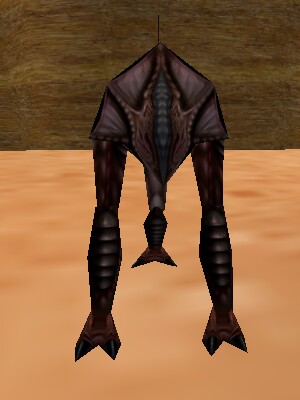 File:Reedshark Hunter Live.jpg