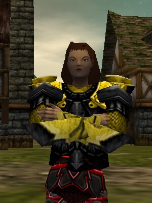 File:Coat of the Zaikhal Defender Live.jpg