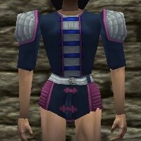 File:Leather Shirt (Loot) Live.jpg