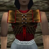 File:Lorica Breastplate Live.jpg