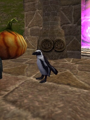File:Pet Penguin Live.jpg