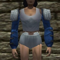 File:Leather Sleeves Live.jpg