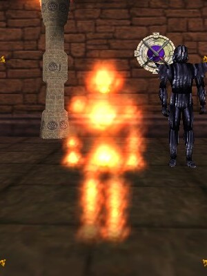 File:Fire Elemental (Summoned) Live.jpg