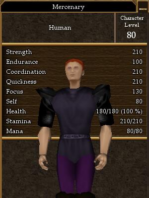 File:Mercenary (Level 80).jpg