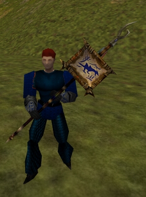 File:Reinforced Gromnie Banner with Symbol Live.jpg