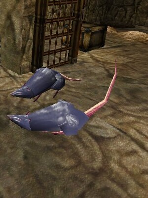File:Silver Rat Live.jpg