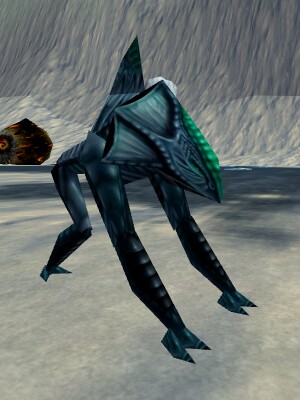 File:Floeshark Live.jpg