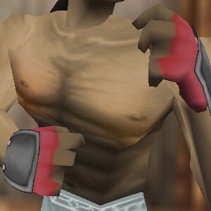 File:Reinforced Shou-jen Shozoku Gauntlets Fail Live.jpg