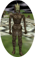 File:TCCRithwic1.gif