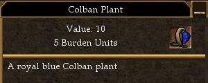 File:Colban Plant.jpg