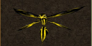 File:Mini Gold Phyntos Wasp Live.jpg