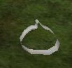 File:Pumpkin Cookie Cutter Live.jpg