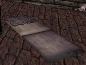 File:Bedroll Live.jpg