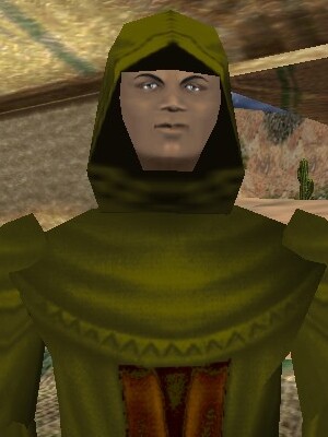 File:Lonely Archmage Live.jpg