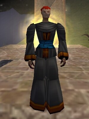 File:Aerfalle's Mana-infused Pallium Live.jpg