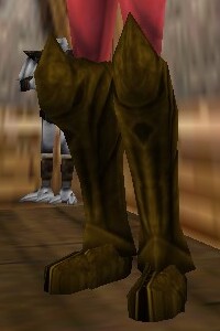 File:Seasoned Explorer Boots Berimphur Live.jpg