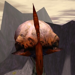 File:Spire's Head Live.jpg