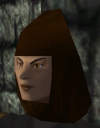 File:Cowl (Store) Holtburg Dark Brown Live.jpg