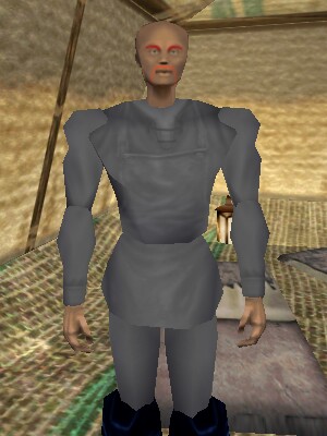 File:Peddler (31.3S, 3.6E) Live.jpg