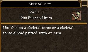 File:Skeletal Arm.jpg