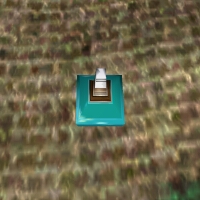 File:Potion of Black Fire Live.jpg