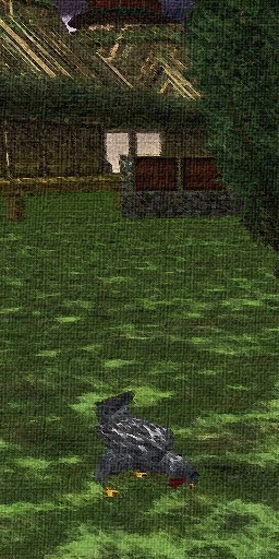 File:Chicken (Town Network Painting) Live.jpg