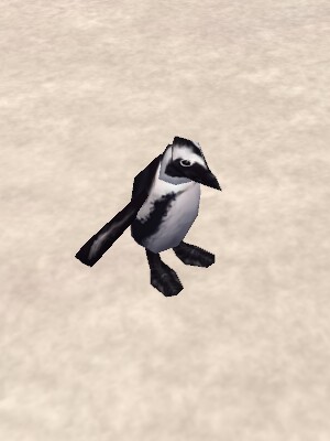 File:Penguin (Creature) Live.jpg