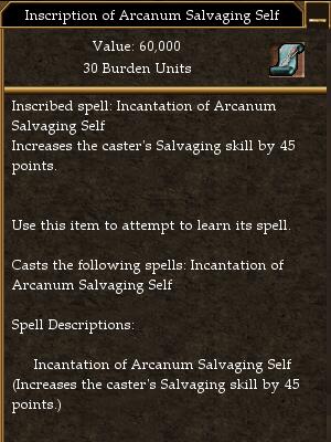 File:Inscription of Arcanum Salvaging Self.jpg
