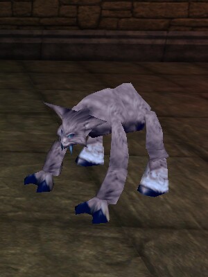 File:Pet Polar Ursuin Cub Live.jpg