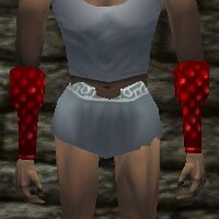 File:Scalemail Bracers Live.jpg