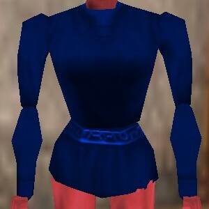 File:Amateur Explorer Shirt Colban Live.jpg
