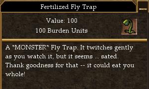 File:Fertilized Fly Trap.jpg