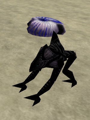 File:Shallows Gorger Live.jpg