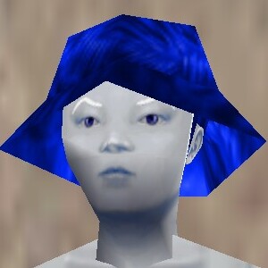 File:Aphus Sun Guard Colban Live.jpg