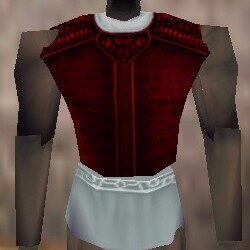 File:Armoredillo Hide Breastplate Hennacin Live.jpg