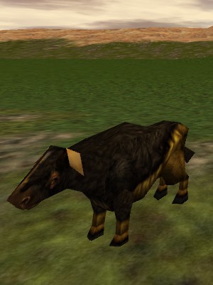 File:Auroch Fire Yearling Live.jpg