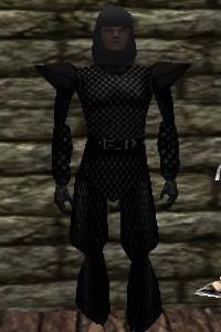 File:Scalemail Armor Thananim Live.jpg