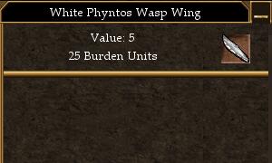 File:White Phyntos Wasp Wing.jpg
