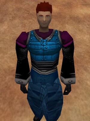 File:Amuli Armor of Frost Live.jpg