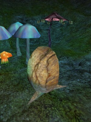 File:Burun Egg Live.jpg