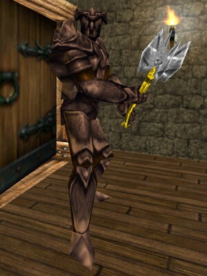 File:Doorkeeper Knight Live.jpg