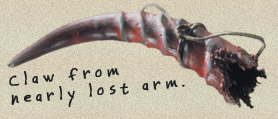 File:Artifact claw.jpg