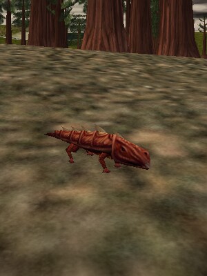 File:Bronze Armoredillo Pup Live.jpg