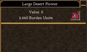 File:Large Desert Flower.jpg