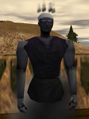 File:Grand Master Scrivener of Void Magic Live.jpg