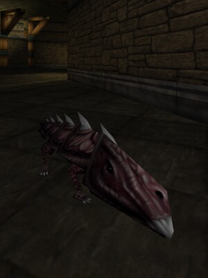 File:Spiny Armoredillo Live.jpg