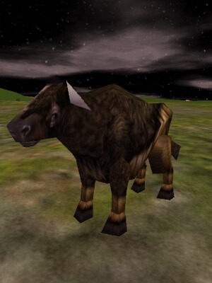 File:Auroch Cow Live.jpg