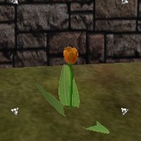 File:Orange Tulip Hooked Live.jpg